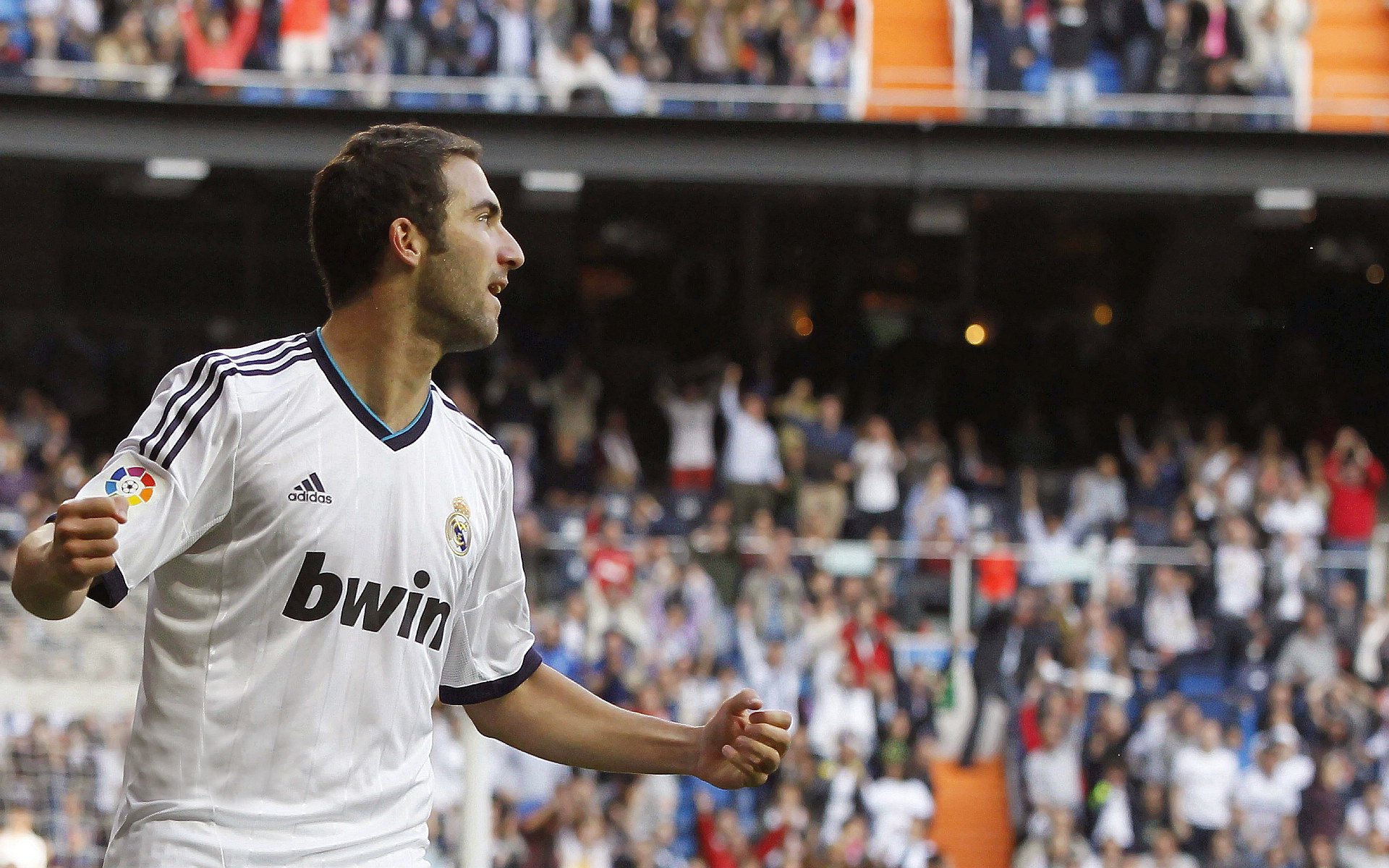 美洲杯豪门争夺：明星支援，激情无限！，美洲杯 球迷